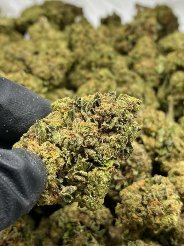 Spicy Zest Delta-8 THC Flower