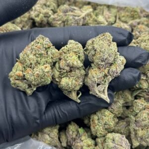 Buy Sugar Tartz THCa Flower