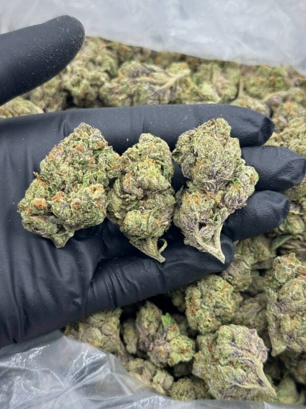 Buy Sugar Tartz THCa Flower