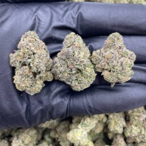 Sunset Sherb THCa