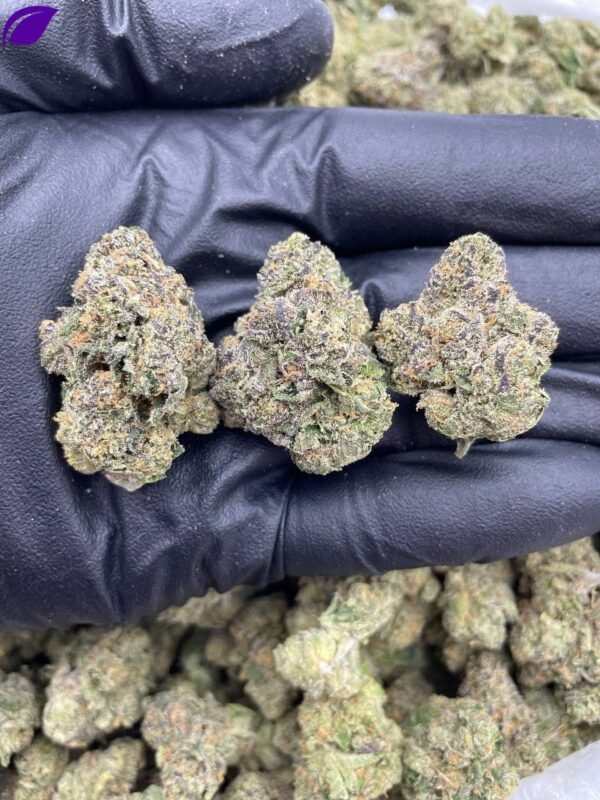 Sunset Sherb THCa
