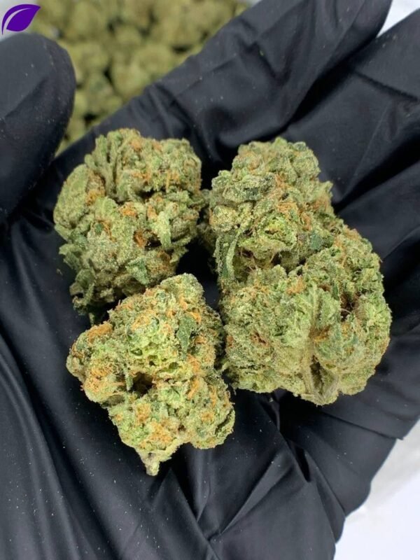 Super Sonic THCa Flower