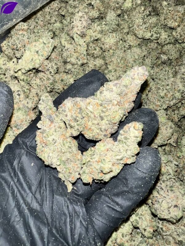 Super Sour Space Candy HHC Flower
