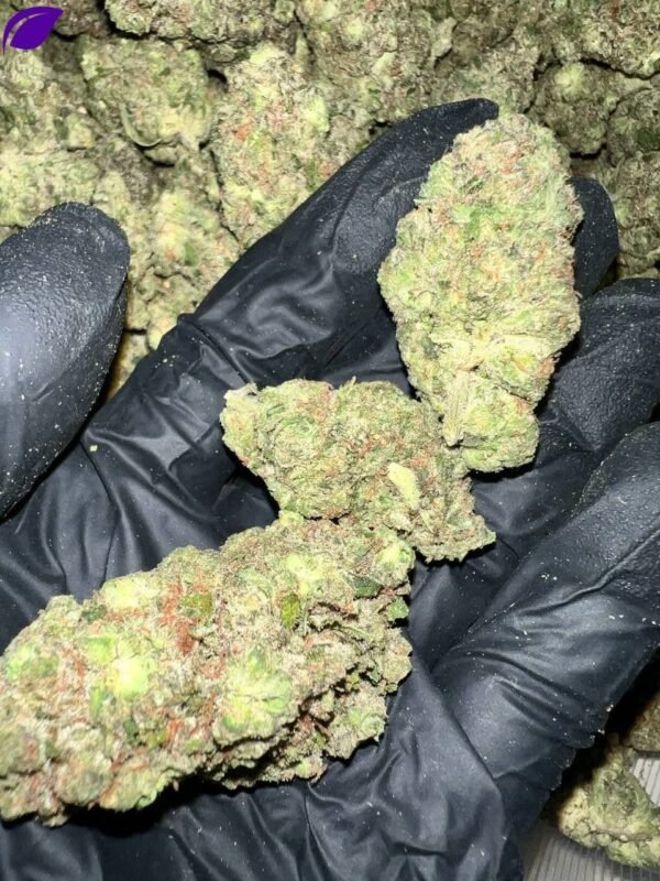 Tahoe OG THCa Flower - Image 2
