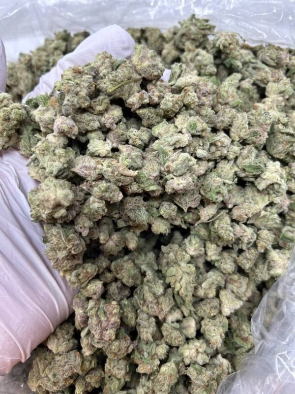 Tangilope THCa Flower