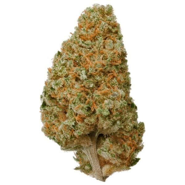 Thin Mint GSC THCa Flower