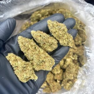 Thin Mintz CBD Strain