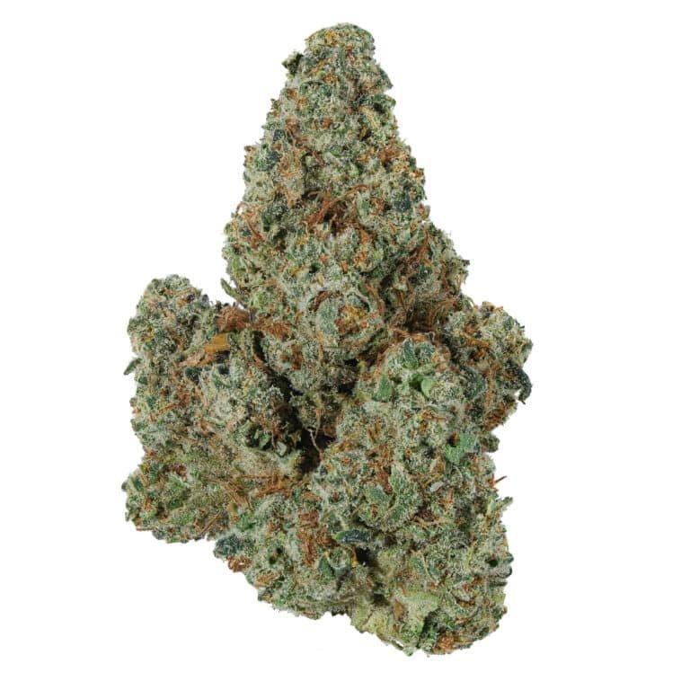 Toxic Punch THCa Flower