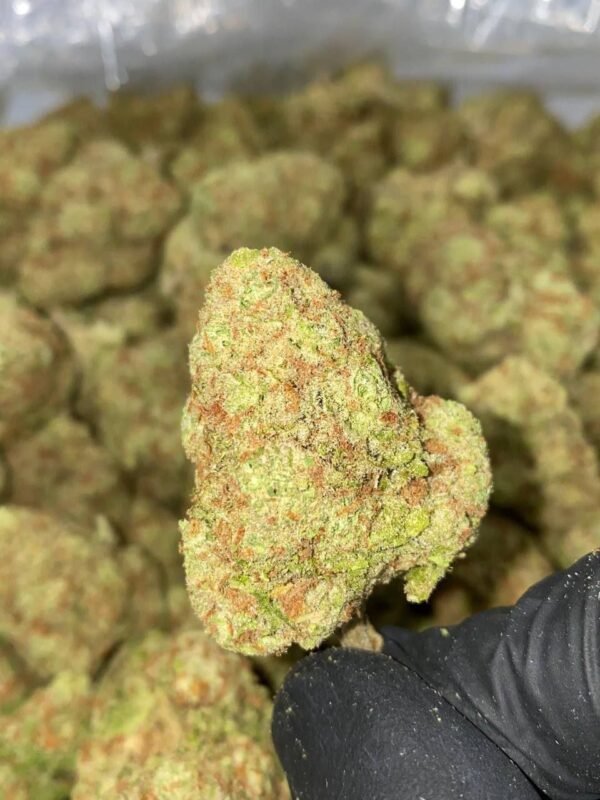 Tranquil Nights CBN Flower