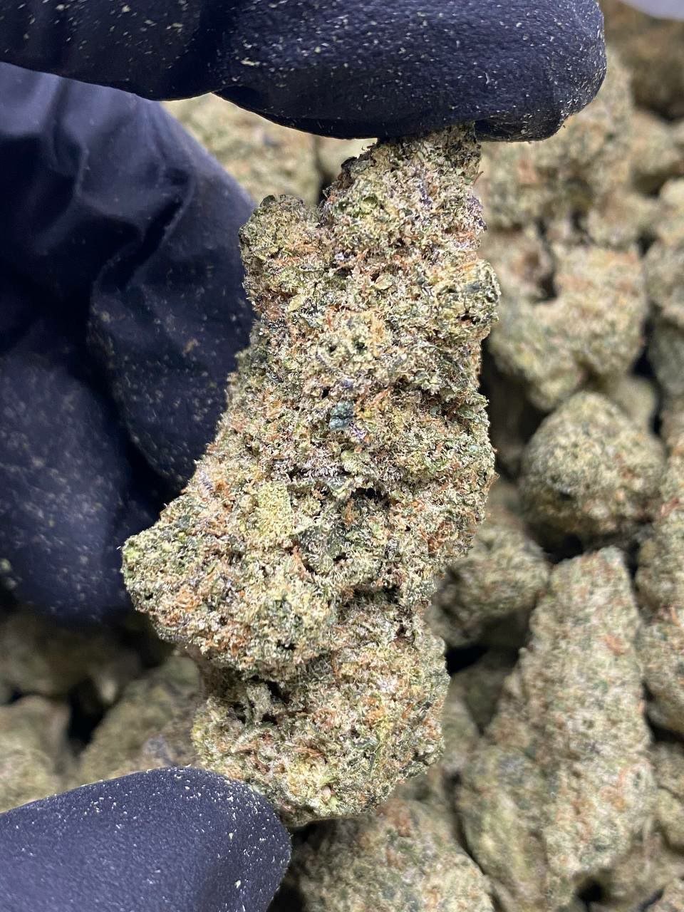 Tropical Bliss CBDV Flower