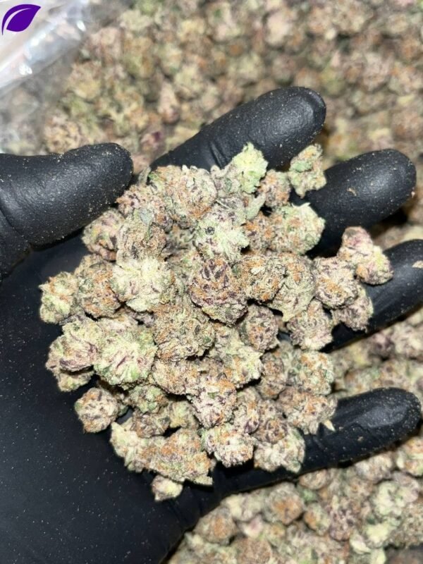 Tropical Punch THCa Smalls