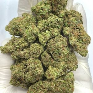 Tropicana Kush THCA Flower