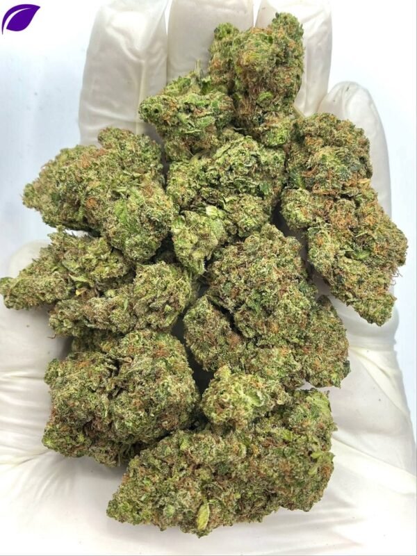 Tropicana Kush THCA Flower