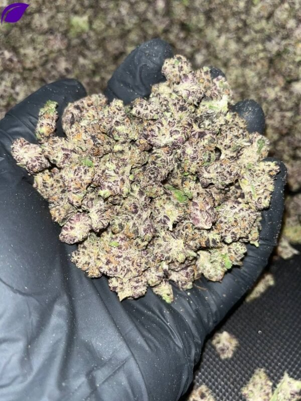 Tropicana Smalls Exotic THCa