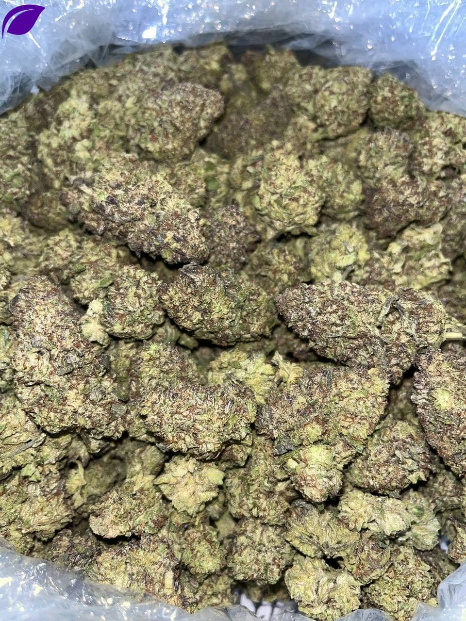 Trump Runtz THCA - Image 2