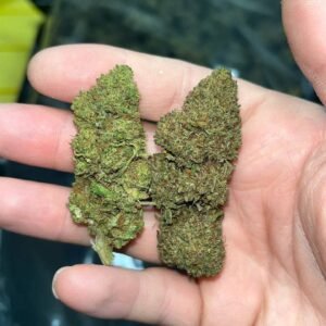 Tsunami OG CBD Strain