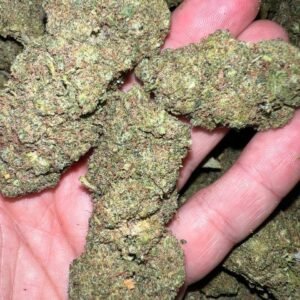 Tsunami OG THCa