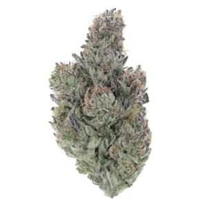 Vanilla Frosting THCa Flower