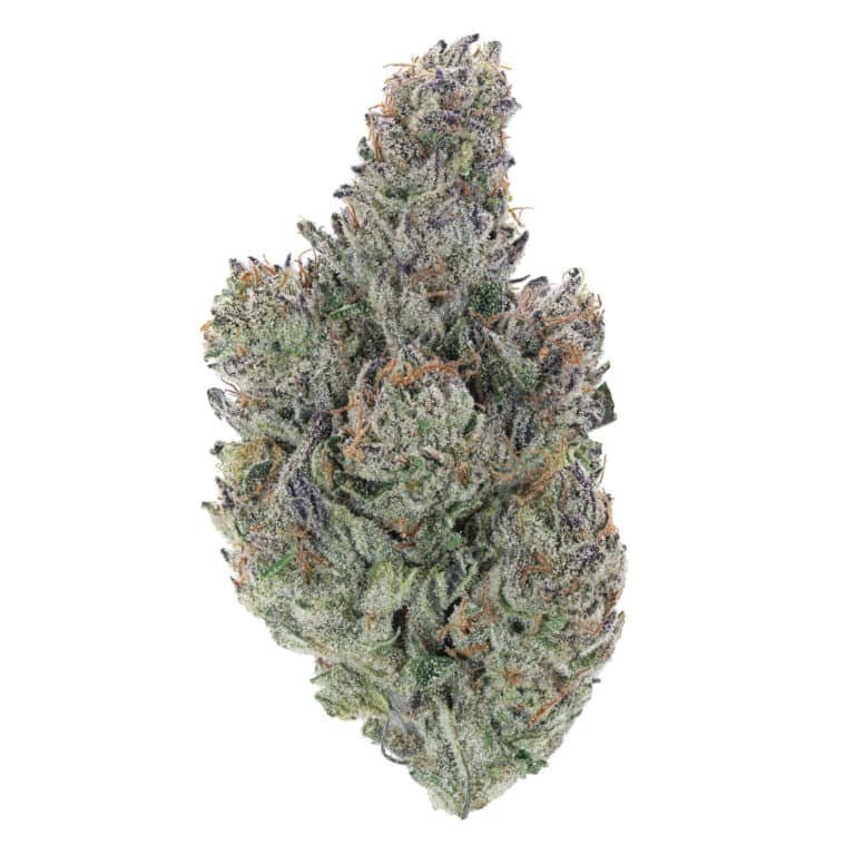 Vanilla Frosting THCa Flower