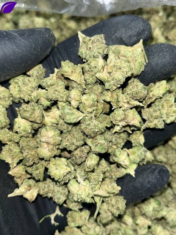 Wedding Cake THCa Smalls