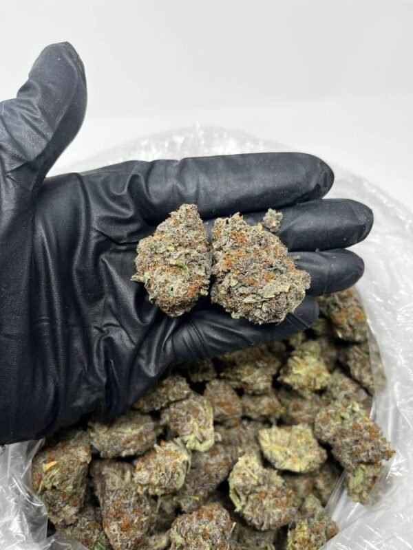 White Runtz CBD Strain