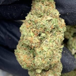 White Widow