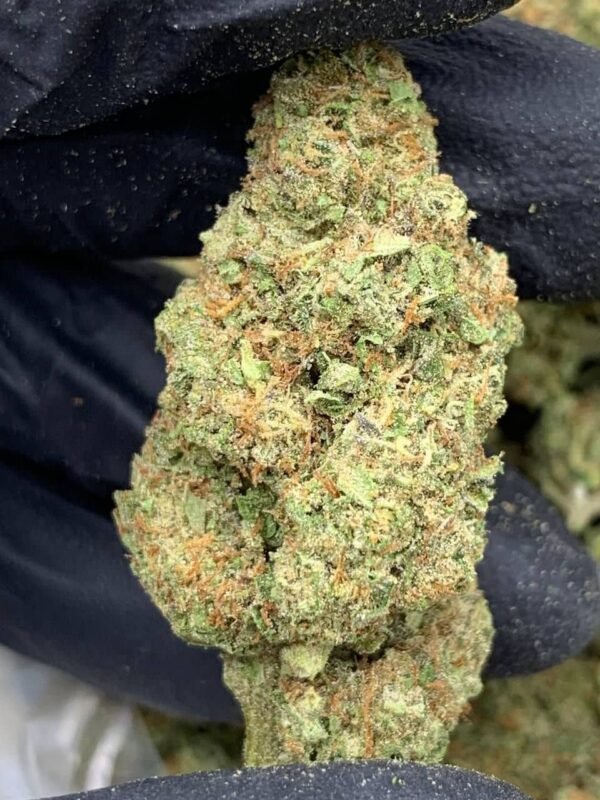 White Widow