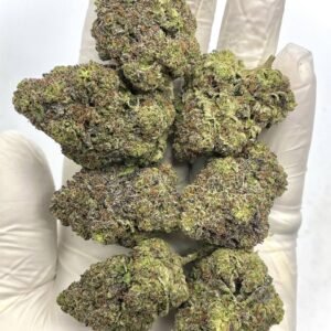 Birthday Cake THCa Flower