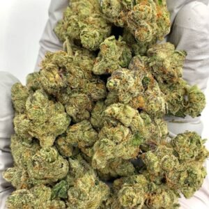 Bolo Runtz Exotic THCa Flower