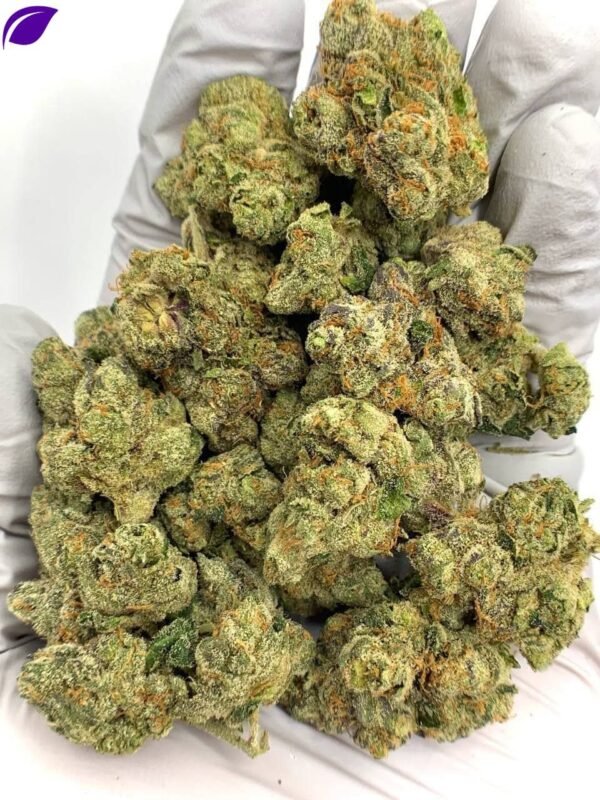 Bolo Runtz Exotic THCa Flower