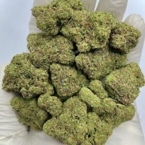 Sherblatto THCa Flower