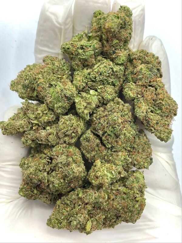 Tropicana Kush THCa Flower