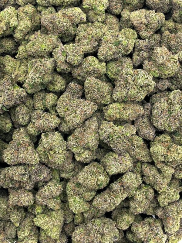 Wild Cherry Gelato THCa Flower - Image 2