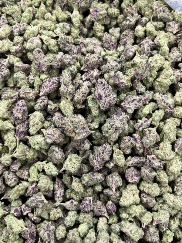 Zerbert Smalls Indoor CBD Strain