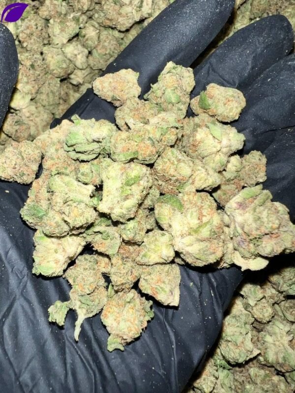 Zkittlez Exotic THCa Flower