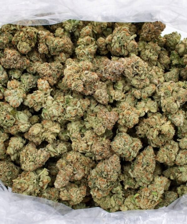 Forbidden Fruit CBCV Flower