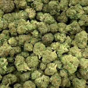 Master Kush THCA Flower