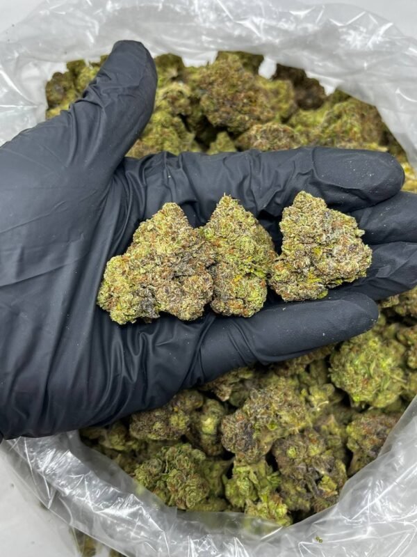 Mint Chocolate Chip THCa Flower