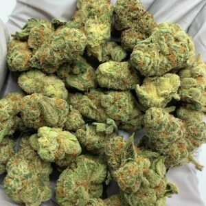Creamy Peach THCa Flower