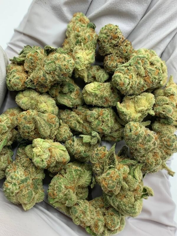 Creamy Peach THCa Flower