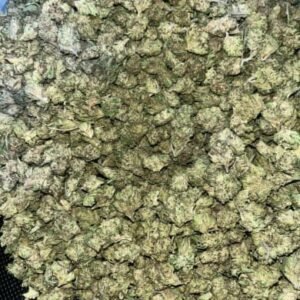 Kosher Kush THCA Flower