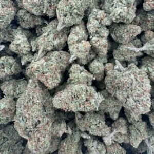 Tropicana Cookies THCA Flower