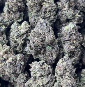 Fruity Pebbles OG THCV Flower