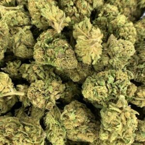 White Rhino THCA Flower