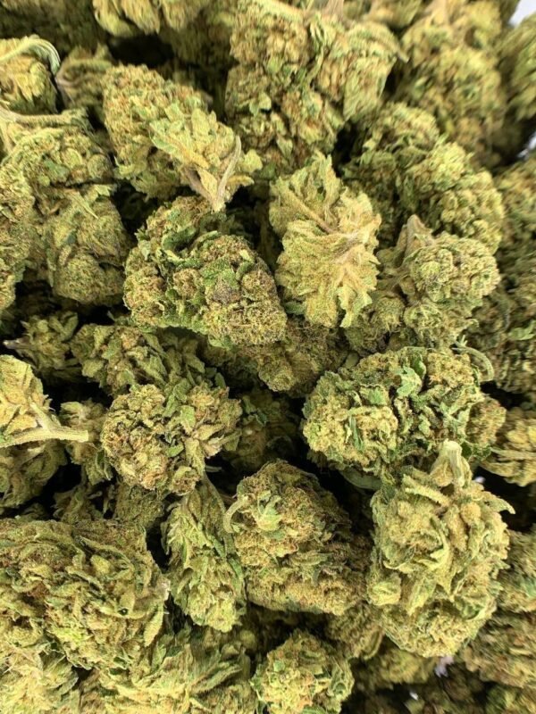White Rhino THCA Flower