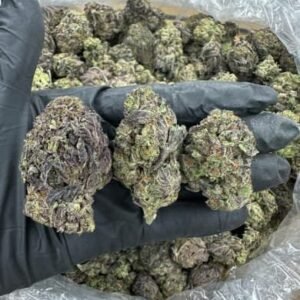 Grape Cream THCa Flower