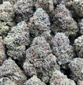 Raspberry Cream THCa Flower