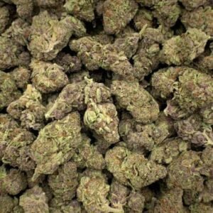 Amnesia Haze THCA Flower