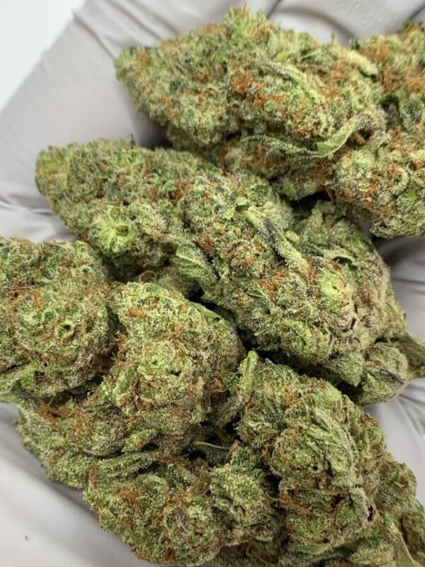 Ice Cream Cake THCa Flower