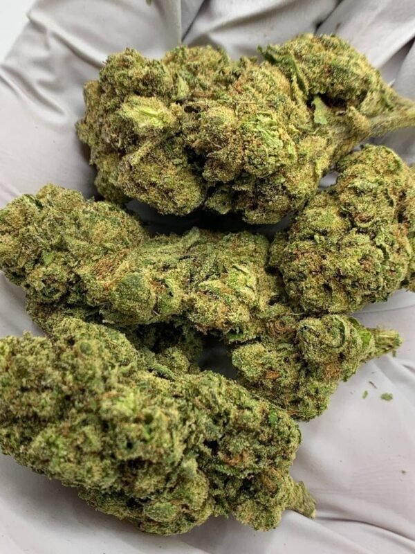 Crescendo THCa Flower